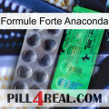 Anaconda Strong Formula new04